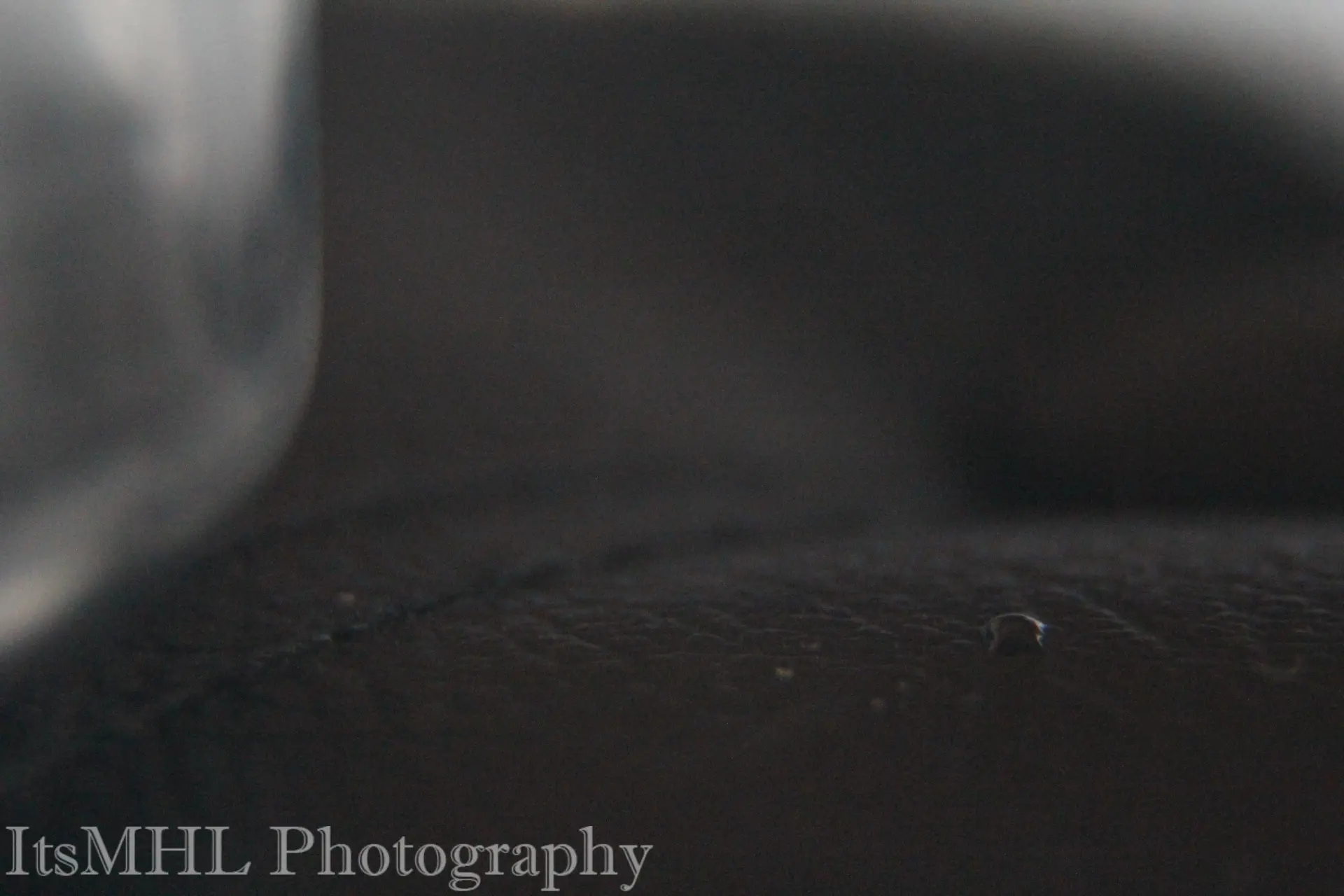 Stories in Still Life