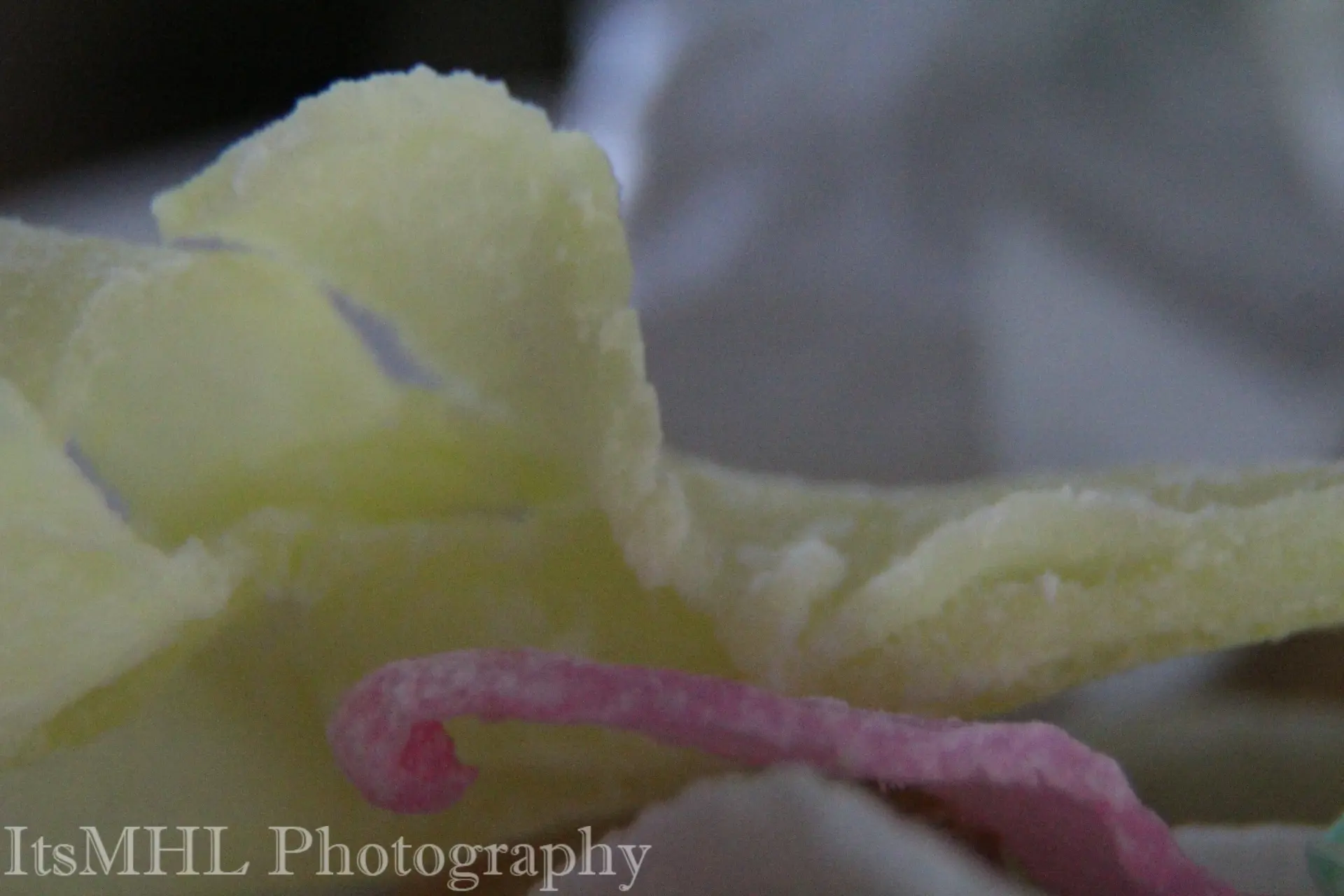 Stories in Still Life