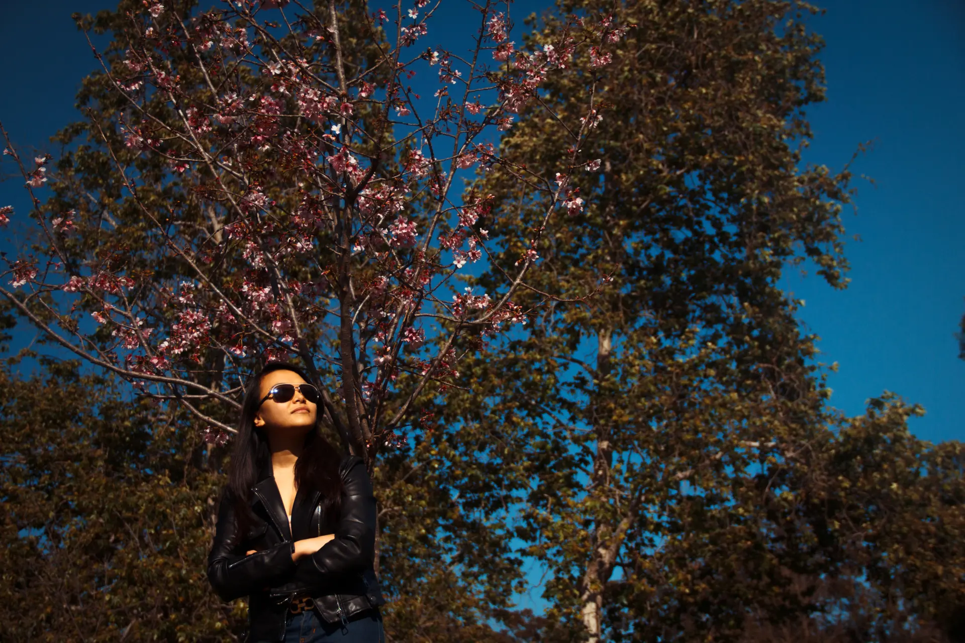 Portrait Epiphany